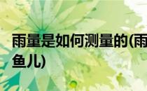 雨量是如何测量的(雨量是如何测量的 别额,小鱼儿)