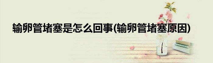 输卵管堵塞是怎么回事(输卵管堵塞原因)