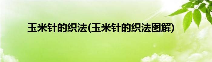 玉米针的织法(玉米针的织法图解)