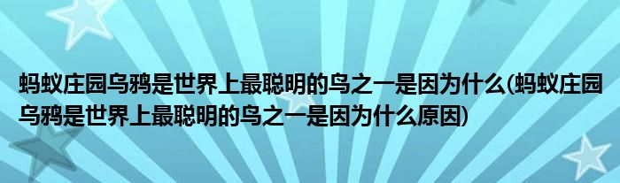 蚂蚁庄园乌鸦是世界上最聪明的鸟之一是因为什么(蚂蚁庄园乌鸦是世界上最聪明的鸟之一是因为什么原因)