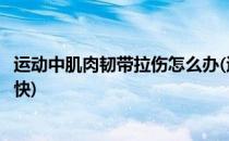 运动中肌肉韧带拉伤怎么办(运动中肌肉韧带拉伤怎么办恢复快)