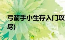 弓箭手小生存入门攻略(弓箭手小生存攻略无尽)