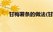 甘梅薯条的做法(甘梅薯条的做法窍门)