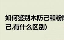 如何鉴别木防己和粉防己(粉防己,木防己,汉防己,有什么区别)