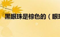 黑眼珠是棕色的（眼珠黑色好还是棕色好）
