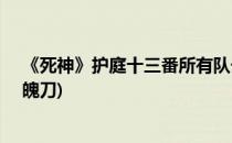 《死神》护庭十三番所有队长—斩魄刀详解(死神队长的斩魄刀)