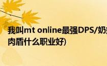 我叫mt online最强DPS/奶妈/肉盾职业数据分析(我叫mt4肉盾什么职业好)