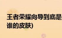 王者荣耀向导到底是谁(王者荣耀向导到底是谁的皮肤)