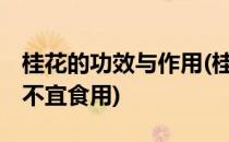 桂花的功效与作用(桂花的功效与作用,哪些人不宜食用)