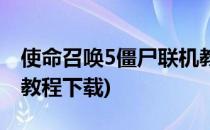使命召唤5僵尸联机教程(使命召唤5僵尸联机教程下载)