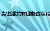 尖锐湿尤有哪些症状(尖湿锐尤会有哪些症状)