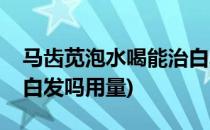 马齿苋泡水喝能治白发吗(马齿苋泡水喝能治白发吗用量)