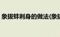 象拔蚌刺身的做法(象拔蚌刺身的做法及图片)