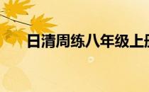 日清周练八年级上册数学答案（日清）