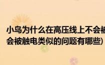 小鸟为什么在高压线上不会被触电(小鸟为什么在高压线上不会被触电类似的问题有哪些)