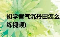 初学者气沉丹田怎么练(初学者气沉丹田怎么练视频)