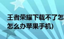 王者荣耀下载不了怎么办(王者荣耀下载不了怎么办苹果手机)