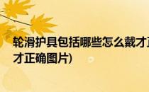 轮滑护具包括哪些怎么戴才正确(轮滑护具包括哪些,怎么戴才正确图片)