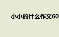 小小的什么作文600字（小小的什么）