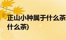正山小种属于什么茶(大红袍和正山小种属于什么茶)