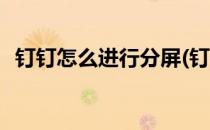 钉钉怎么进行分屏(钉钉怎么进行分屏显示)