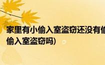 家里有小偷入室盗窃还没有偷就被我抓到了咋判(现在还有小偷入室盗窃吗)