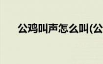 公鸡叫声怎么叫(公鸡叫声怎么叫好听)