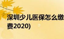 深圳少儿医保怎么缴费(深圳少儿医保怎么缴费2020)