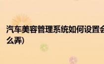 汽车美容管理系统如何设置会员类型(汽车美容店会员系统怎么弄)