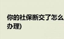 你的社保断交了怎么办(你的社保断交了怎么办理)