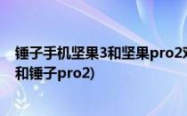 锤子手机坚果3和坚果pro2对比区别及选择建议(锤子坚果3和锤子pro2)