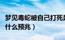 梦见毒蛇被自己打死是什么预兆（梦见杀蛇是什么预兆）