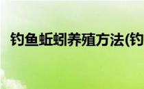 钓鱼蚯蚓养殖方法(钓鱼蚯蚓养殖方法视频)