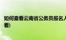 如何查看云南省公务员报名人数(云南公务员报名人数怎么查看)