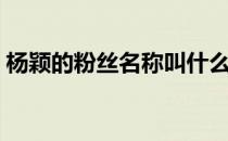 杨颖的粉丝名称叫什么（杨颖的粉丝叫什么）