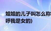 姐姐的儿子叫怎么称呼(姐姐的儿子叫怎么称呼我是女的)