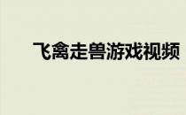 飞禽走兽游戏视频（飞禽走兽网络版）