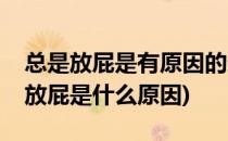 总是放屁是有原因的这下终于明白了(请问总放屁是什么原因)