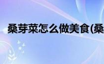 桑芽菜怎么做美食(桑芽菜怎么做美食简单)