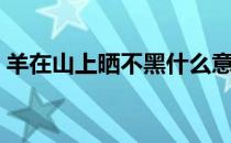 羊在山上晒不黑什么意思（羊在山上晒不黑）