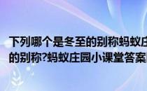 下列哪个是冬至的别称蚂蚁庄园小课堂答案(下列哪个是冬至的别称?蚂蚁庄园小课堂答案四年级)