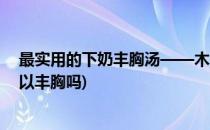 最实用的下奶丰胸汤——木瓜鲫鱼汤的做法(木瓜鲫鱼汤可以丰胸吗)