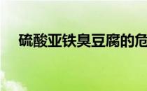 硫酸亚铁臭豆腐的危害（臭豆腐的危害）