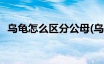 乌龟怎么区分公母(乌龟怎么区分公母图片)