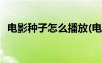 电影种子怎么播放(电影种子怎么播放视频)