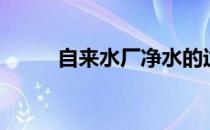 自来水厂净水的过程（自来水厂）