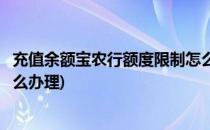 充值余额宝农行额度限制怎么办(充值余额宝农行额度限制怎么办理)