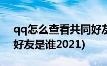 qq怎么查看共同好友是谁(qq怎么查看共同好友是谁2021)