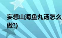 妄想山海鱼丸汤怎么做(妄想山海鱼丸汤怎么做?)