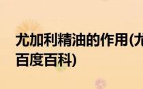 尤加利精油的作用(尤加利精油的作用和功效百度百科)